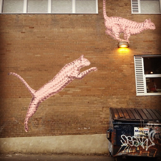 le chat des artistes montreal